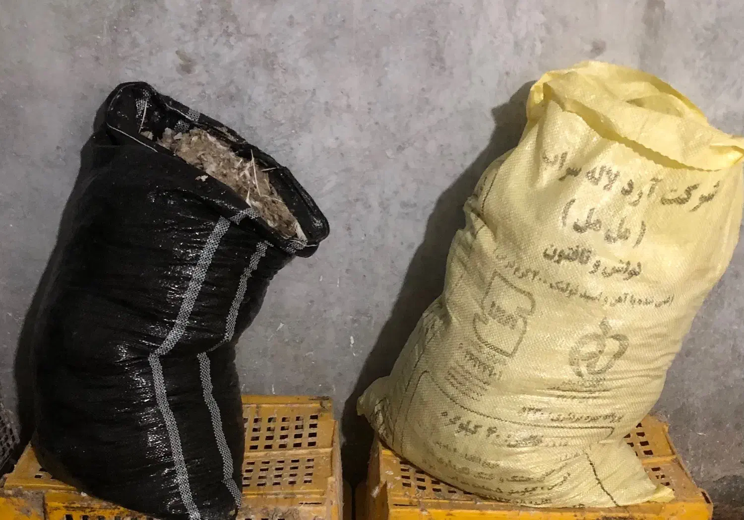 کود کفتر|لوازم جانبی حیوانات|تبریز, |دیوار