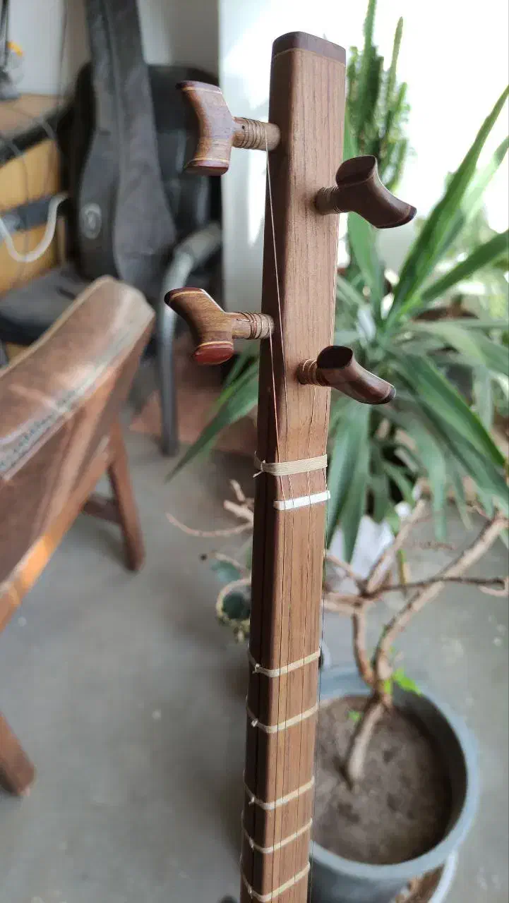 سه تار حرفه ای|سازهای سنتی|ایذه, |دیوار