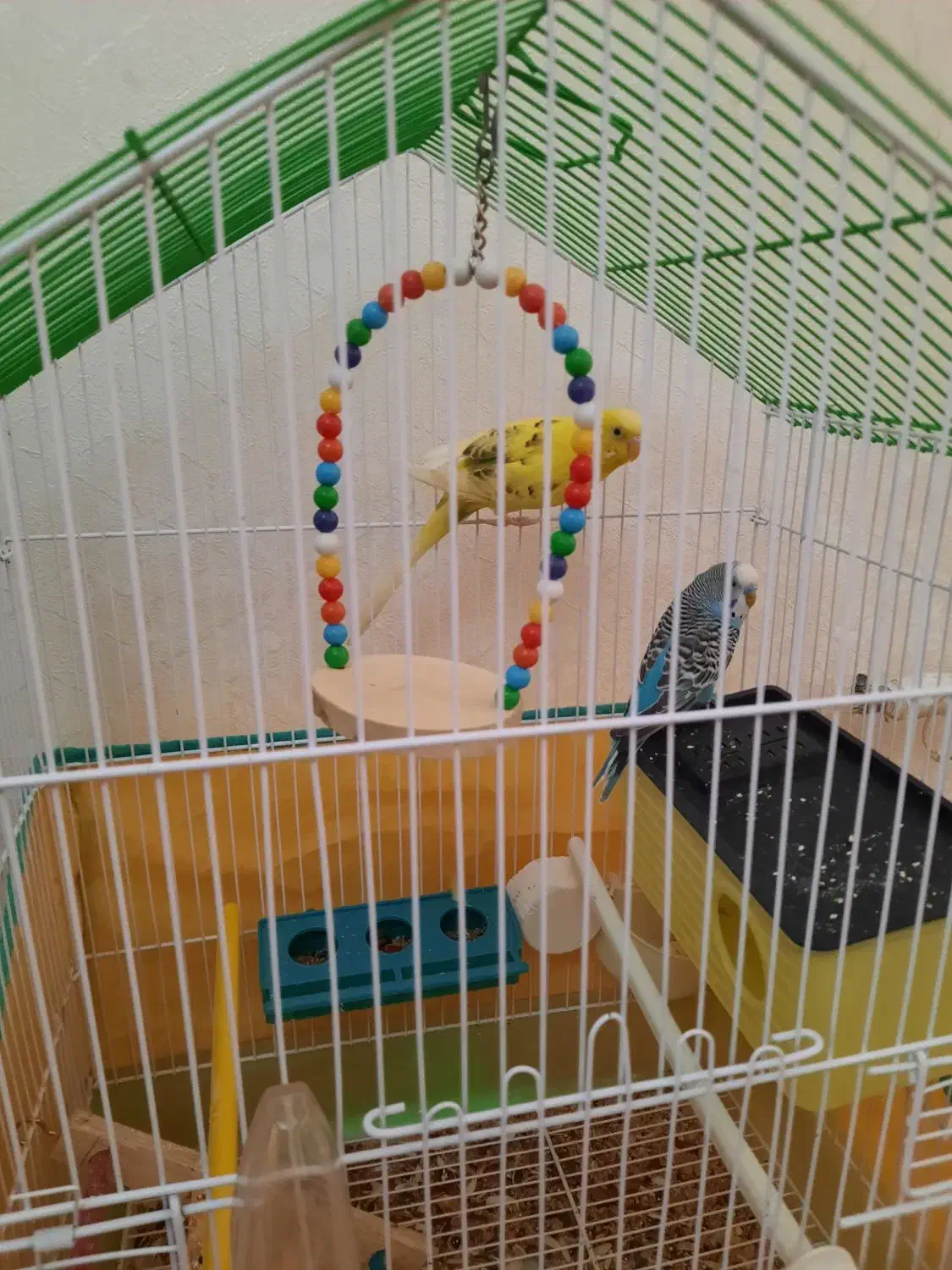 قفس|لوازم جانبی حیوانات|محمدیه-قزوین, |دیوار