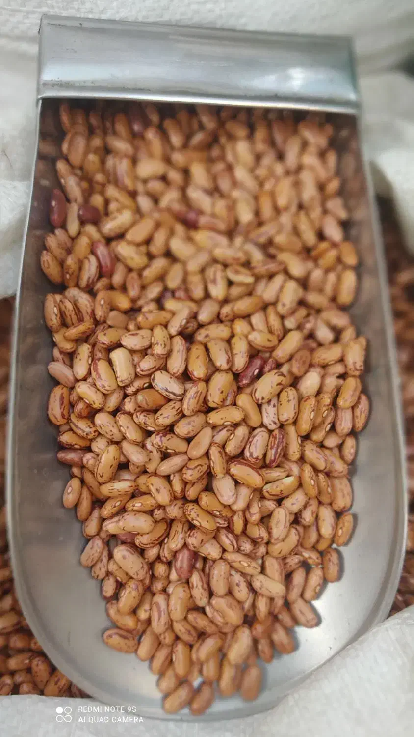 حبوبات لوبیا چیتی عدس ونخود برنج چای باقیمت مناسب|خوردنی و آشامیدنی|اهواز, نادری|دیوار