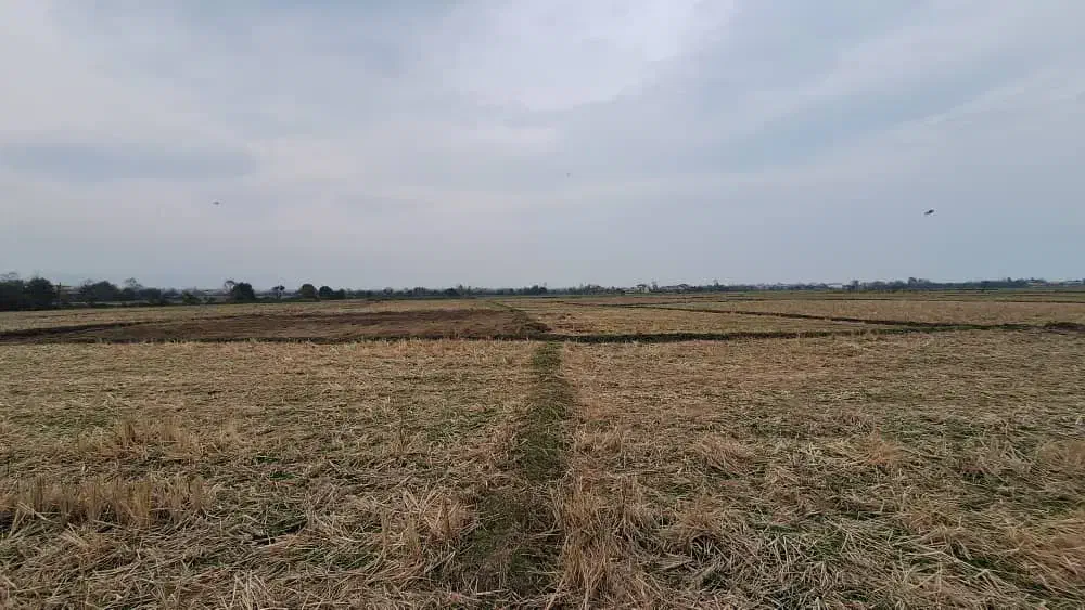 زمین‌ مزروعی ۱۵/۰۰۰متری تسطیح‌نشده در تالش کلفارود|فروش زمین و ملک کلنگی|تالش, طولارود|دیوار