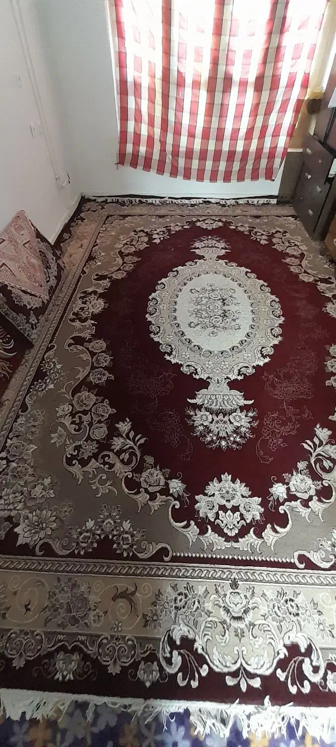 قالی 12متری 2500|فرش|آمل, |دیوار