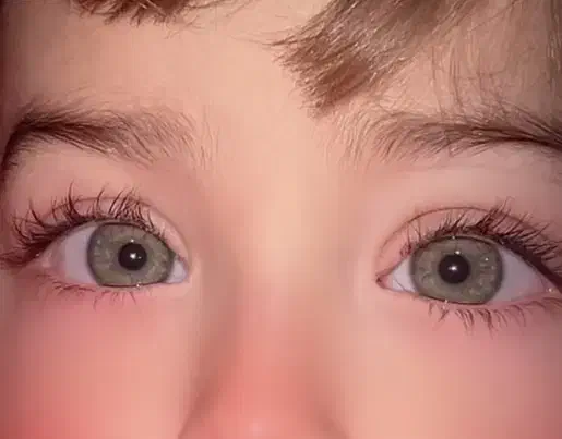 مشورت میخام|فعالیت داوطلبانه تحقیقاتی|کرمان, |دیوار