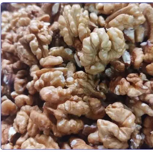 مغز گردو درجه ۱ اشکور|حراج|کلاچای, |دیوار