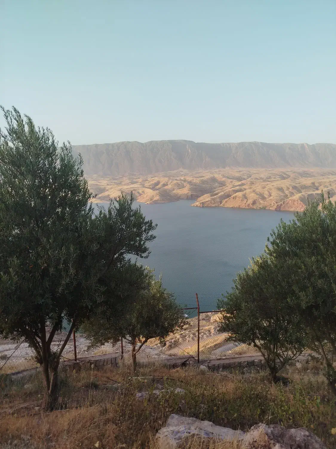 فروش زمین در ملکشاهی|فروش زمین و ملک کلنگی|مهران (ایلام), |دیوار