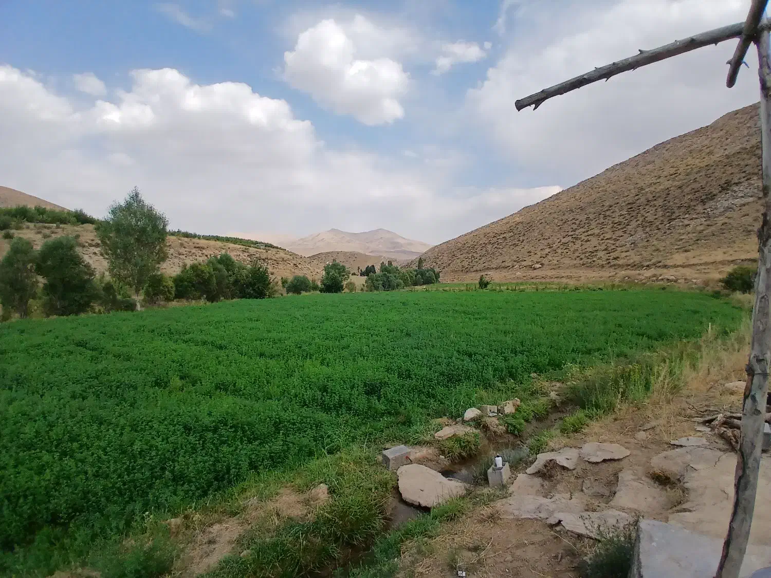 فروش کاه یونجه|لوازم جانبی حیوانات|سمیرم, |دیوار