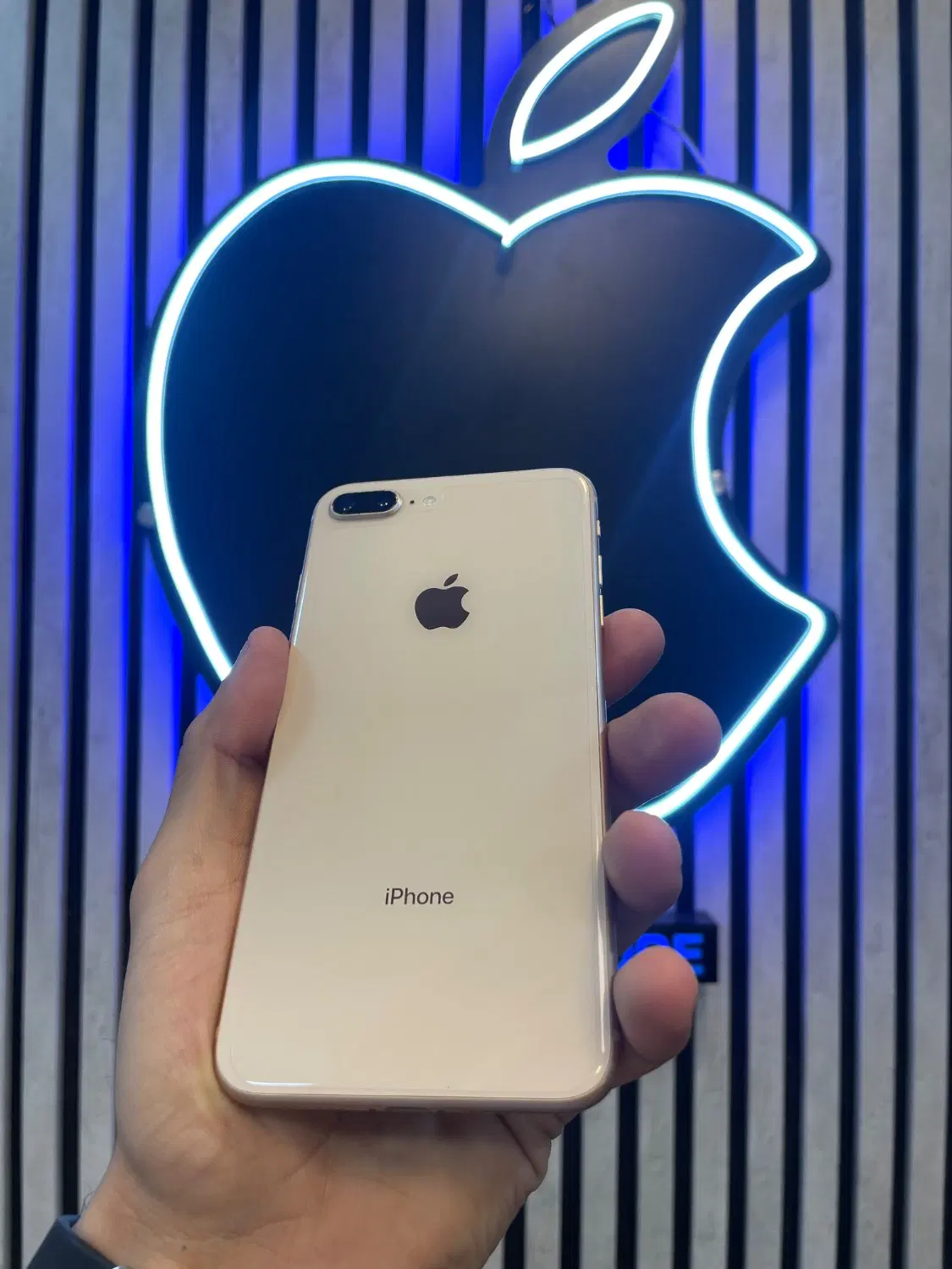 iPhone 8 plus 256 battery 100|موبایل|رشت, خواهر امام|دیوار