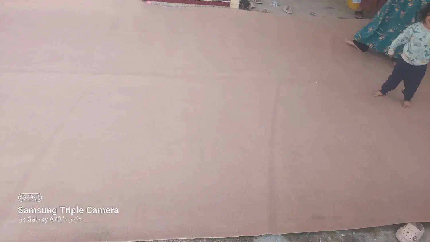 موکت|موکت|رامهرمز, |دیوار