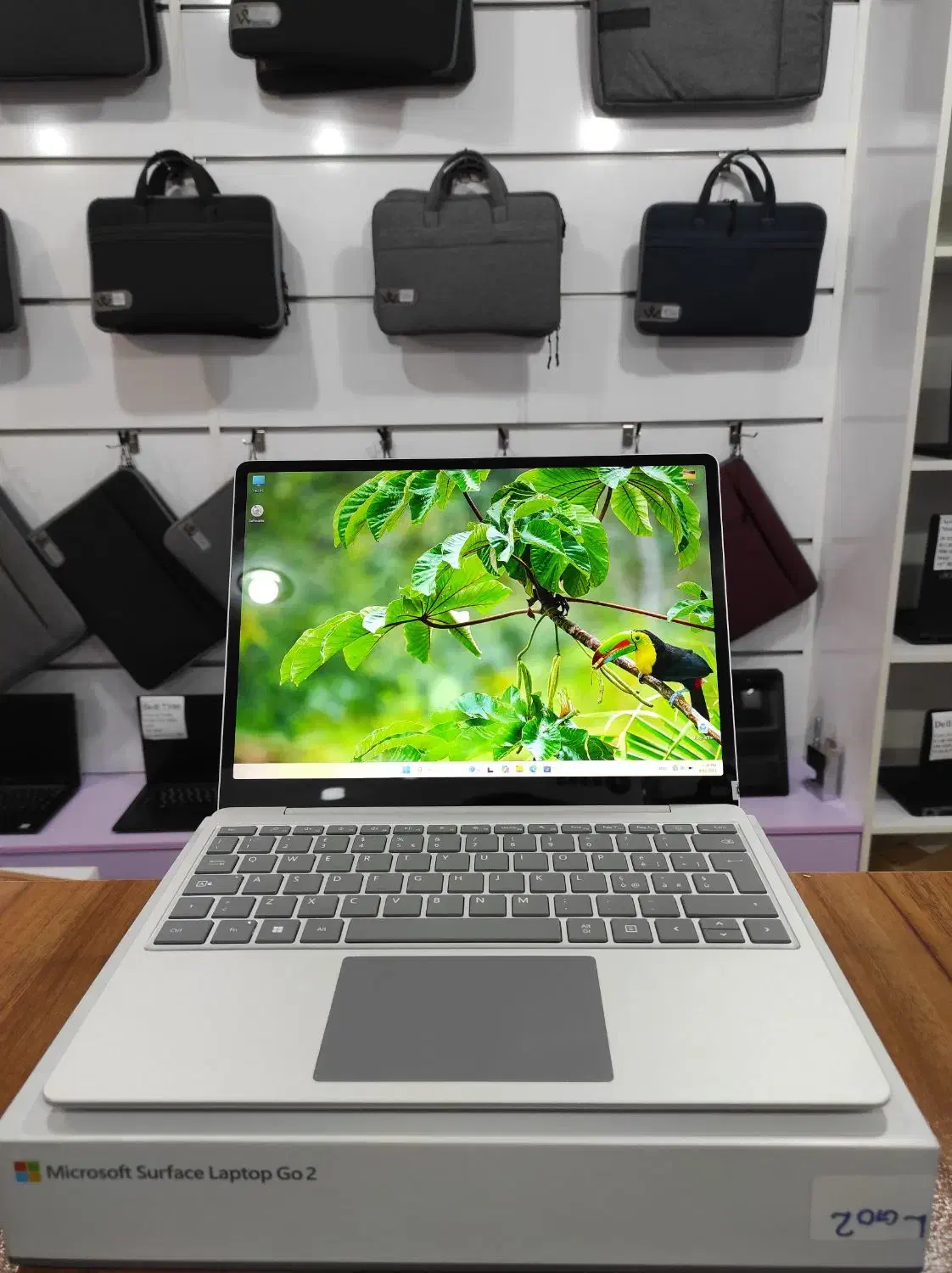 surface laptop go 2|رایانه همراه|قم, پردیسان|دیوار