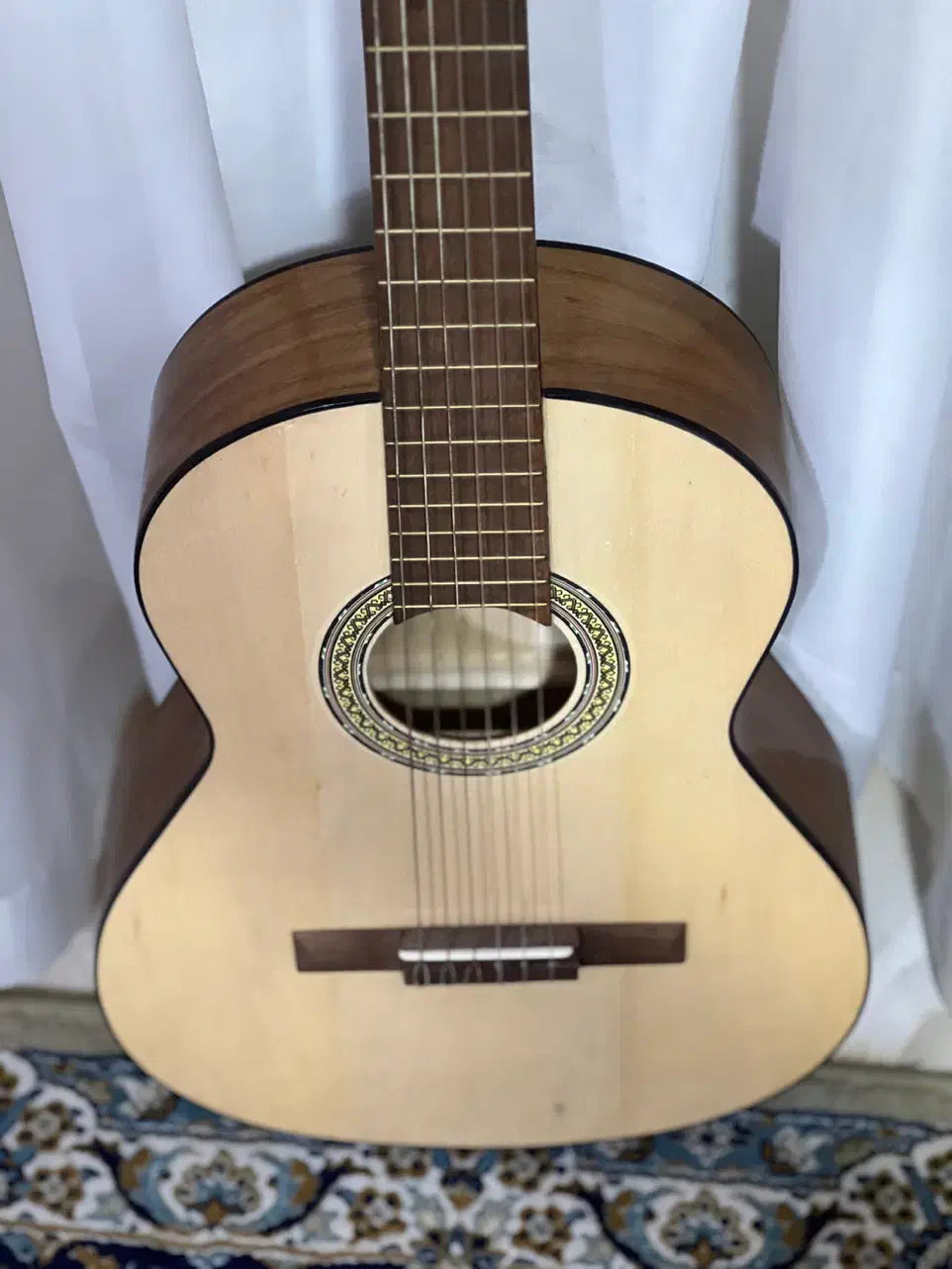 گیتار کلاسیک (Hohner H20 (Handmade|گیتار، بیس، امپلیفایر|بوکان, |دیوار