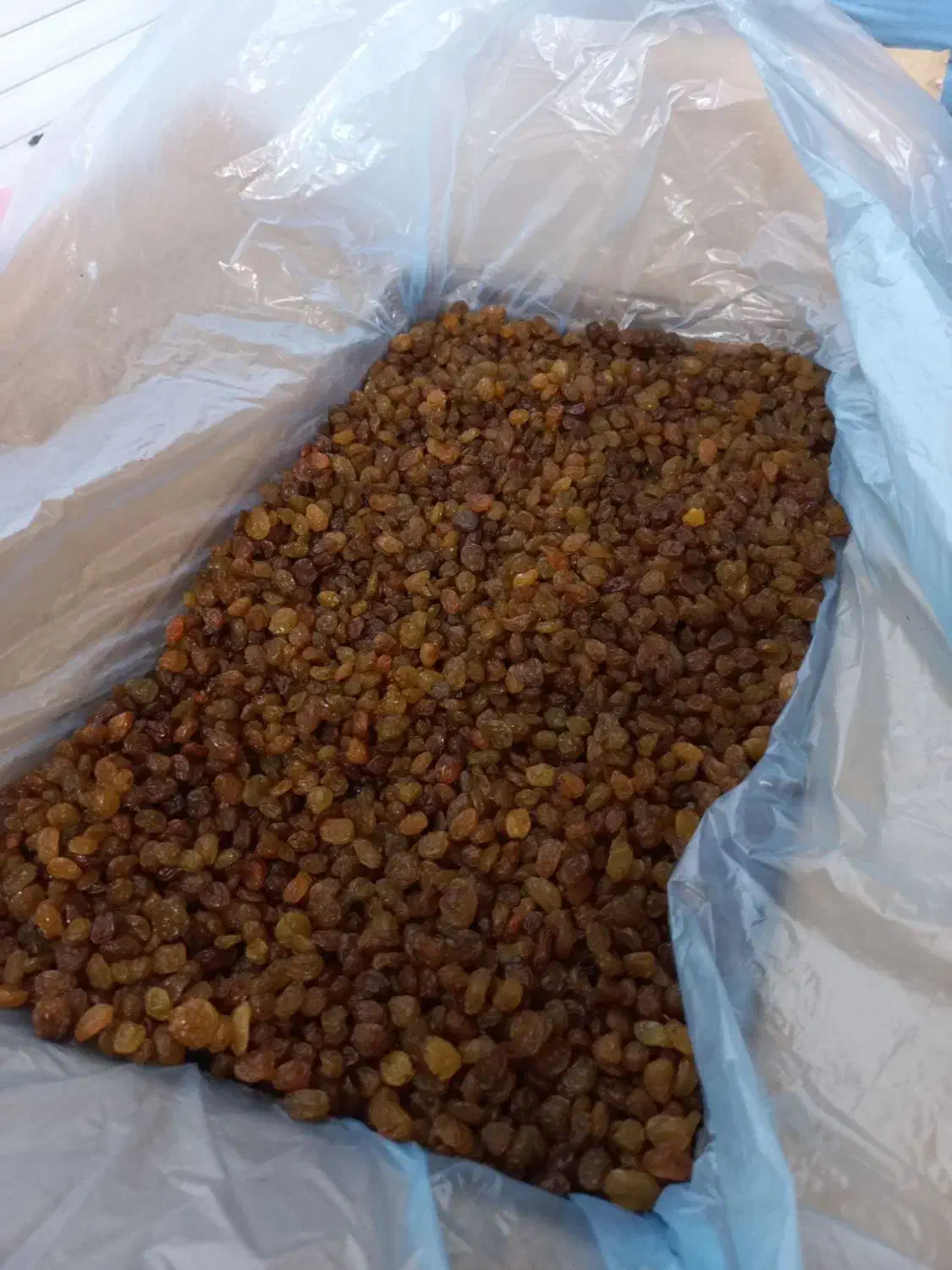 کشمش|عمده‌فروشی|رباط‌کریم, انجم آباد|دیوار