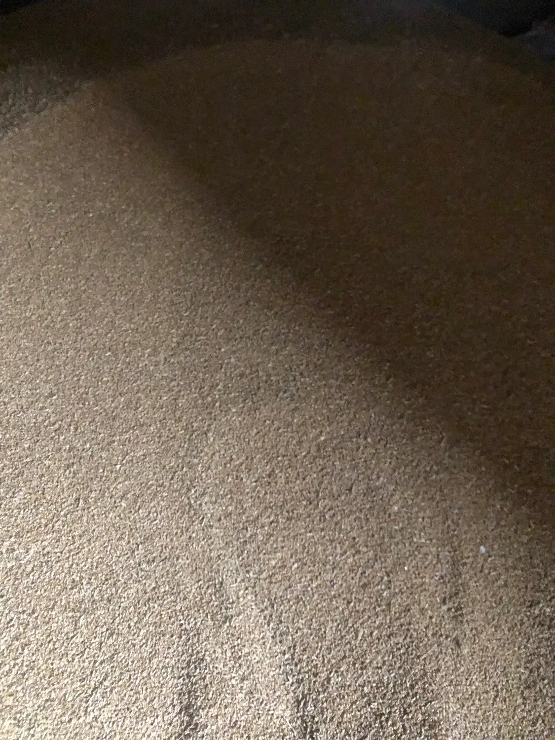 گندم|عمده‌فروشی|قوچان, |دیوار