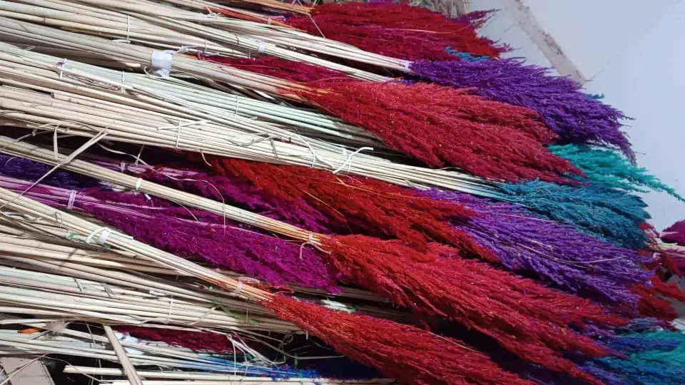 پامپاس گل خشک شب چله زیر قیمت بازار گل|گل مصنوعی|مشهد, امیر|دیوار