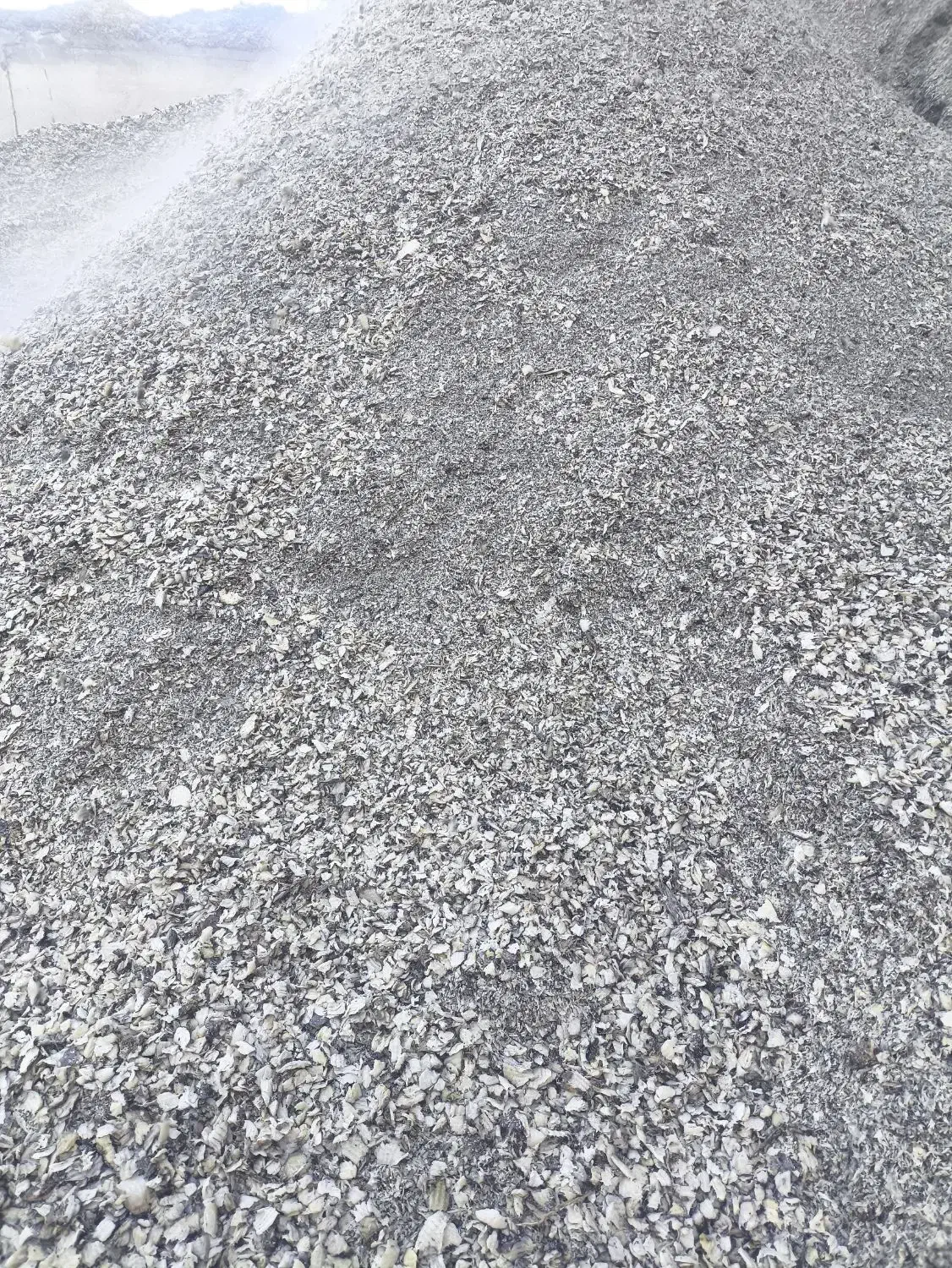 فروش تفاله چغندر خشک پرس آبدار به قیمت کارخانه|عمدهفروشی|محمدبار, |دیوار