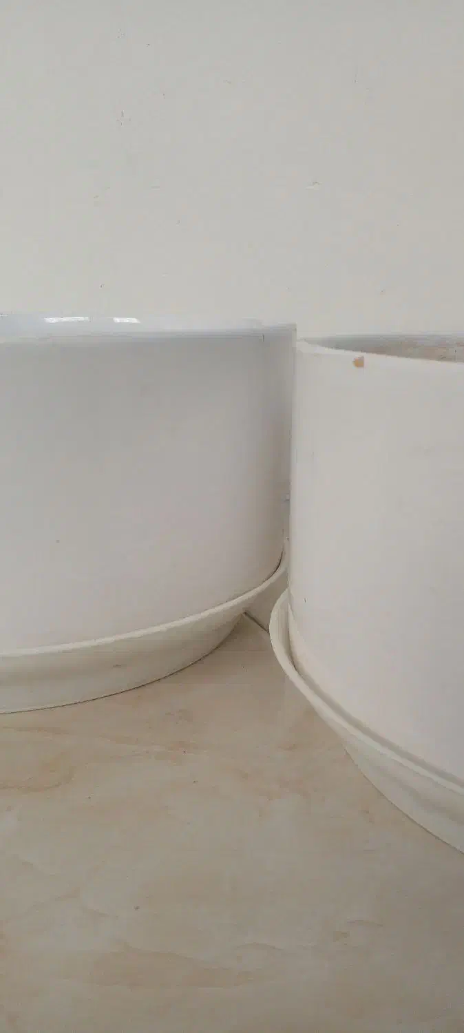 گلدان با زیری|گل و گیاه طبیعی|مشهد, انقلاب|دیوار