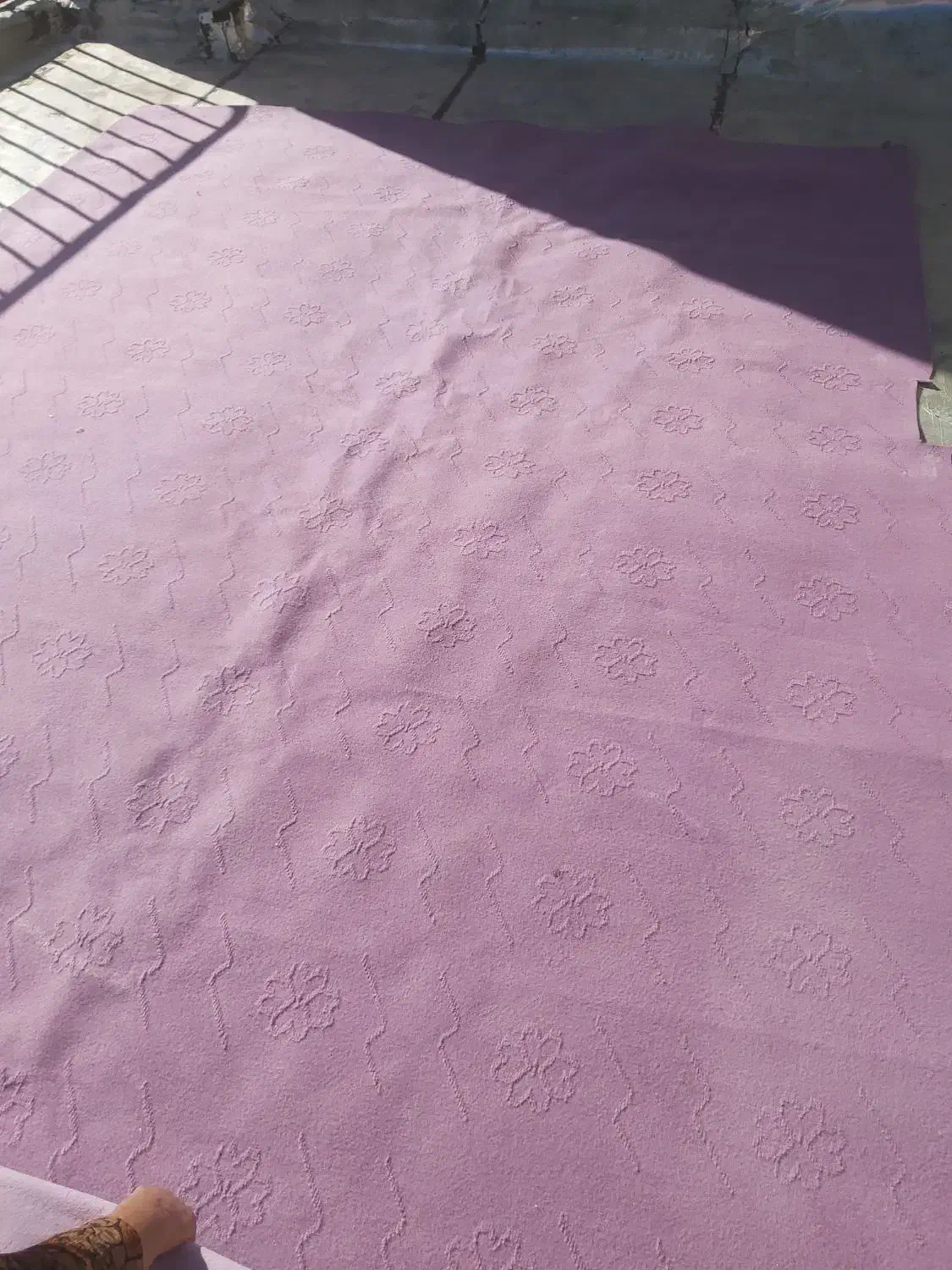 موکت|موکت|سنندج, |دیوار