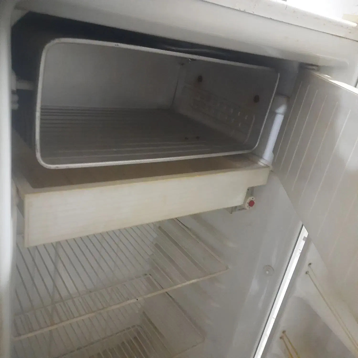 یخچال|یخچال و فریزر|مراغه, |دیوار