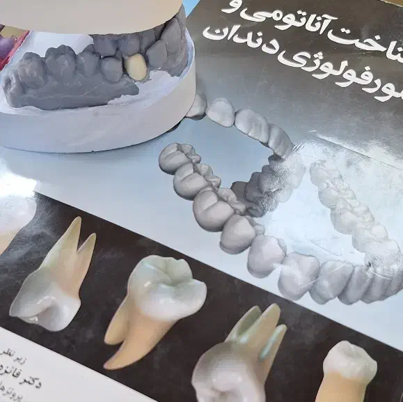 رویداد یادگیری اناتومی دندان|گردهمایی و همایش|تهران, نیروی هوایی (پیروزی)|دیوار