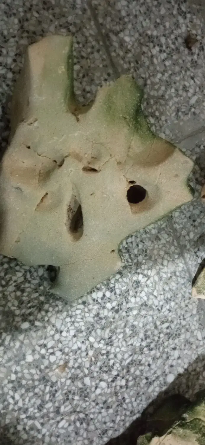 لوازم آکواریوم|لوازم جانبی حیوانات|شیراز, رکنآباد|دیوار