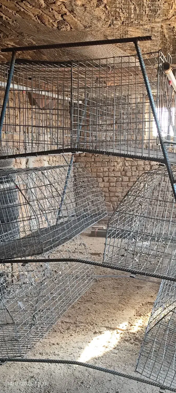 قفس مرغ منبری|لوازم جانبی حیوانات|تاکستان, |دیوار