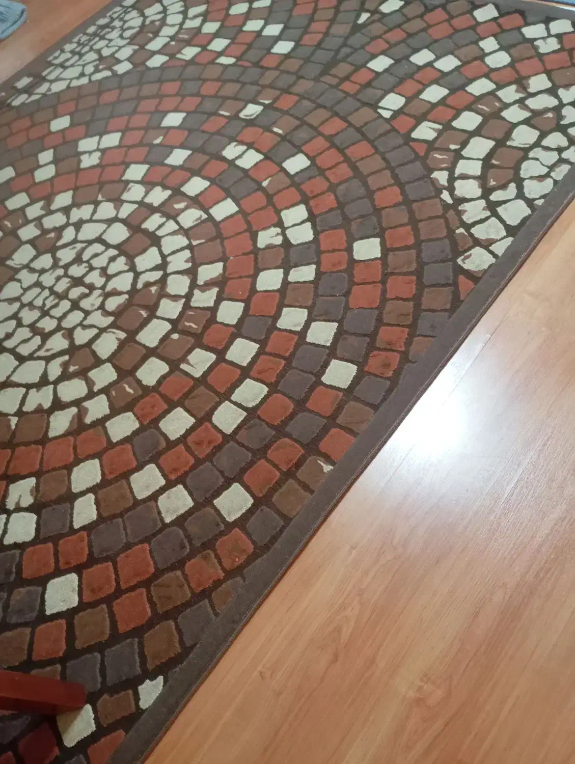 فرش ۶ متری فانتزی|فرش|تهران, مهرآباد جنوبی|دیوار