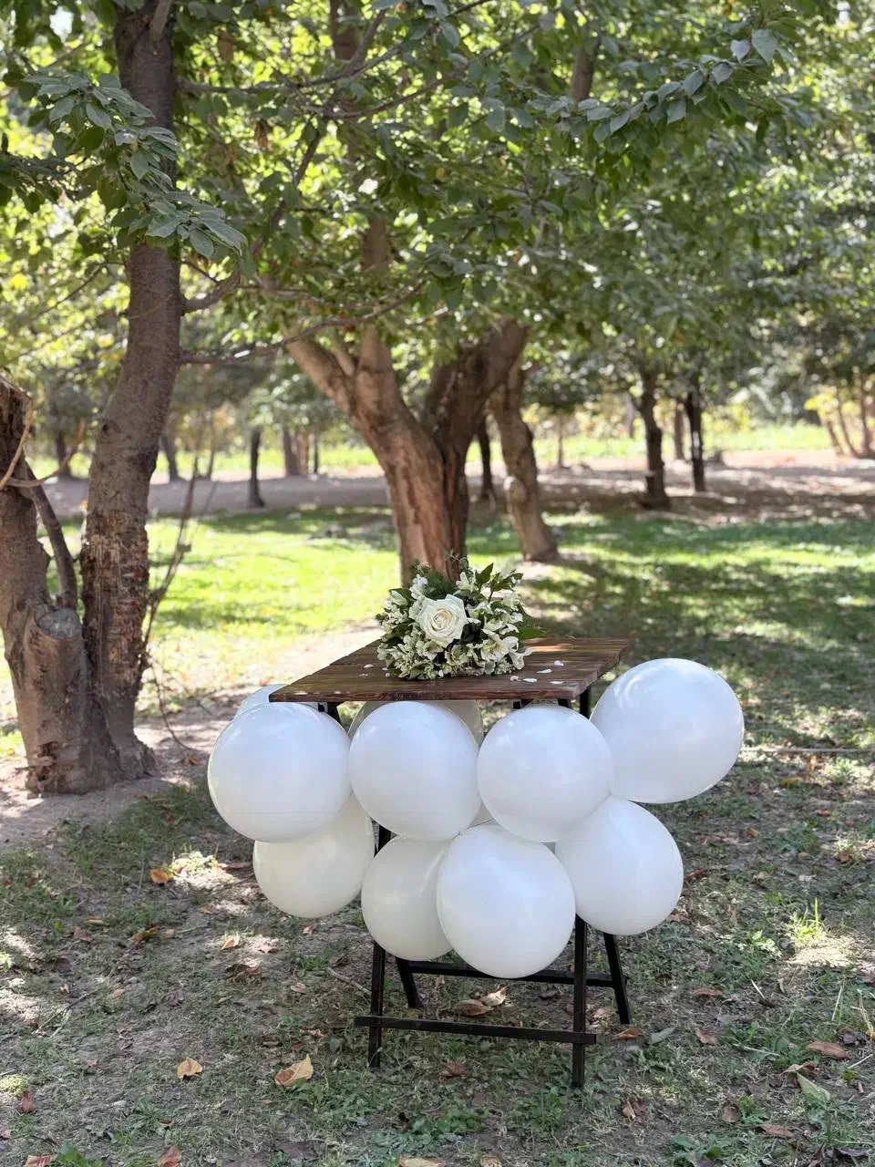 فروش ویژه میز و صندلی نهار خوری چوبی فلزی/تاشو|میز و صندلی غذاخوری|نجفآباد, شهید رجایی|دیوار