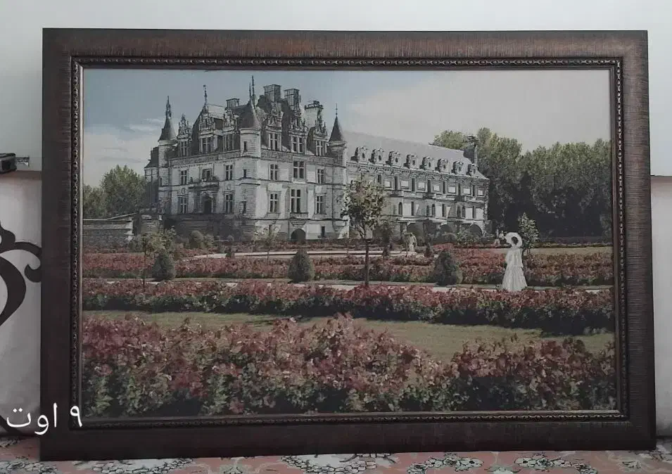 قاب چوبی|تابلو، نقاشی، عکس|تهران, تهرانسر مرکزی|دیوار