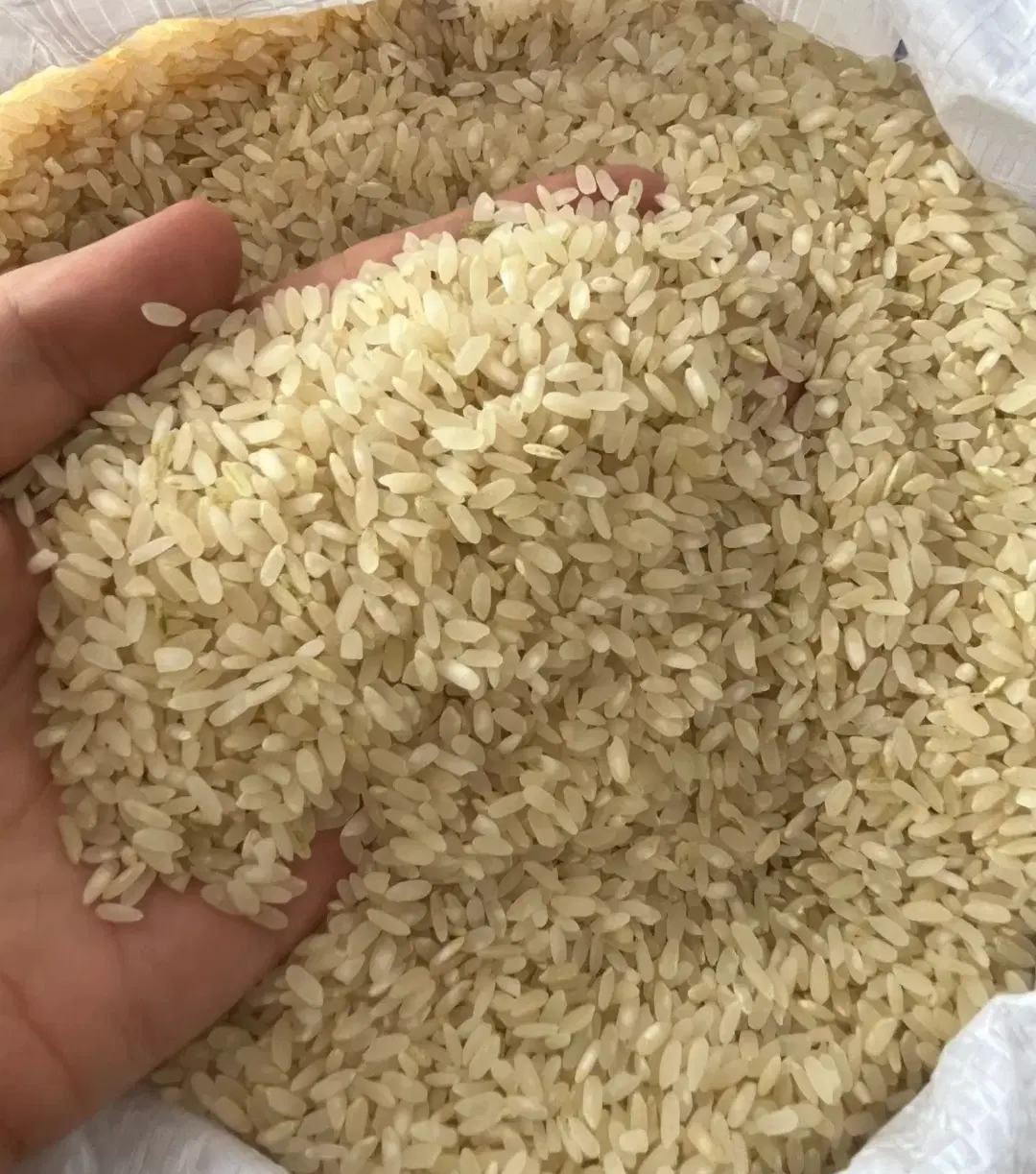 . .|خوردنی و آشامیدنی|مرودشت, علیآباد|دیوار