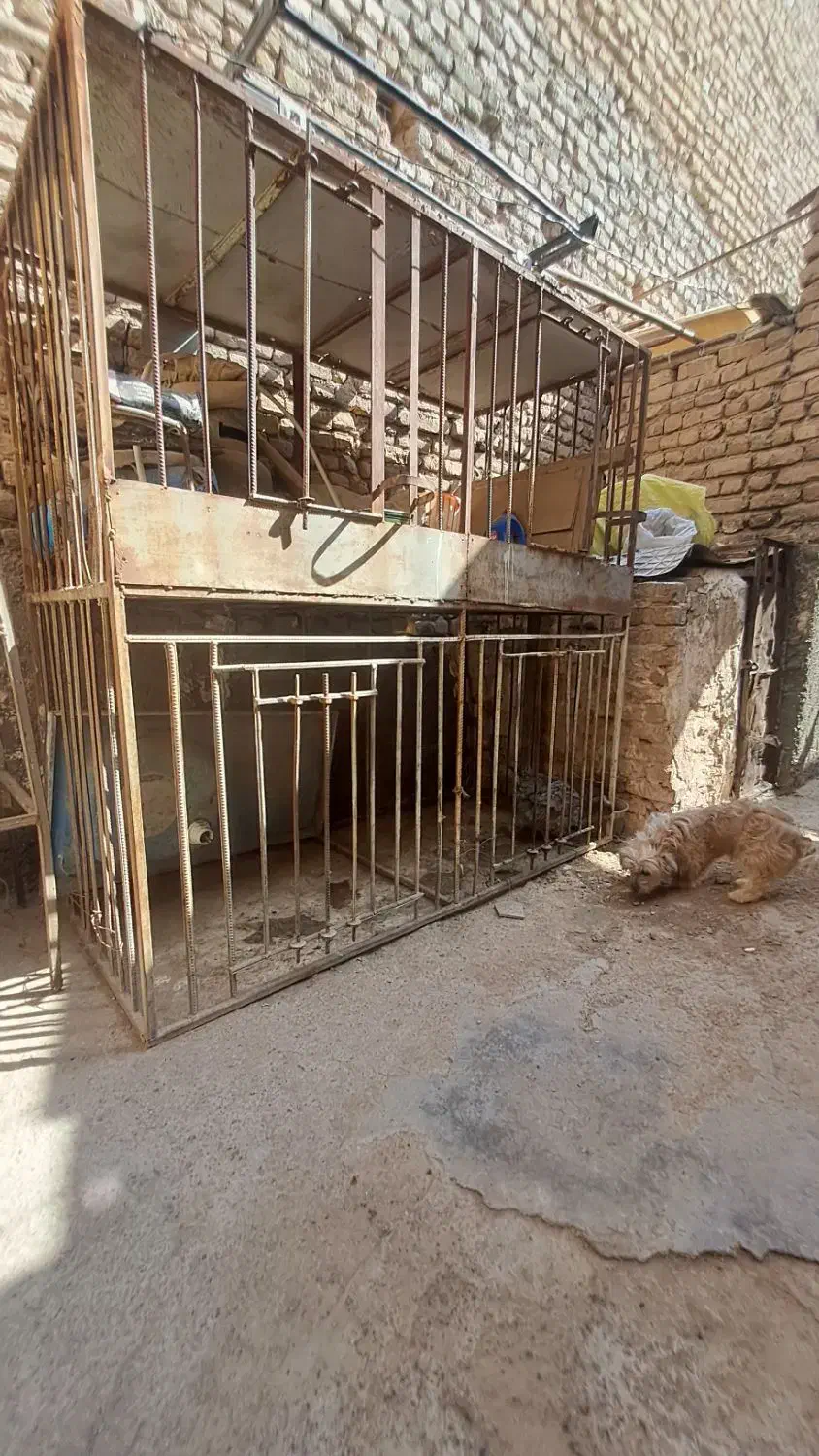 قفس تمام میلگرد|لوازم جانبی حیوانات|تربت جام, شاد|دیوار