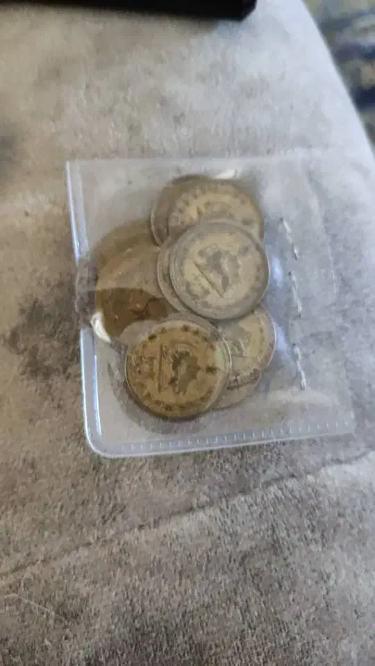 انواع سکه پهلوی و قاجار|کلکسیون سکه، تمبر، اسکناس|چالوس, |دیوار