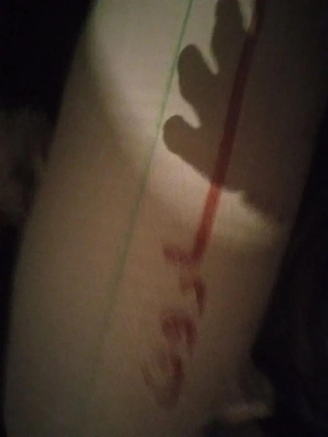 فروش برنج چلتوک طارم خشک وکولرزده|عمدهفروشی|چرام, |دیوار