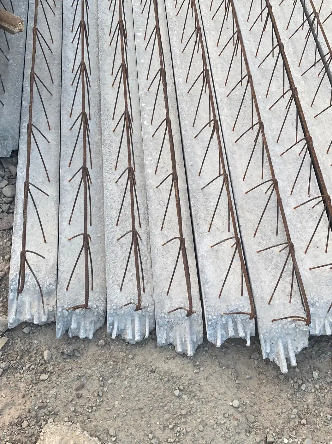 کارگاه تولید قطعات بتنی تیرچه و بلوک|مصالح و تجهیزات ساختمان|بندرلنگه, |دیوار