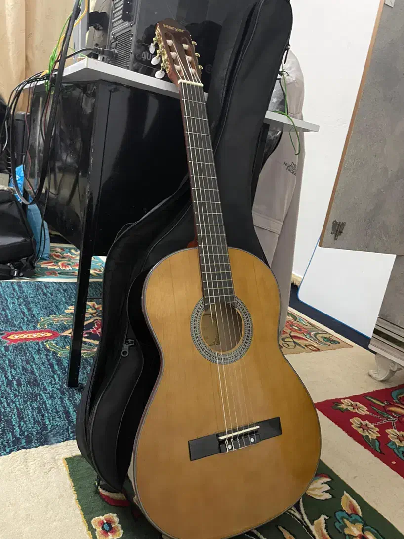 گیتار برند Maryar|گیتار، بیس، امپلیفایر|اهواز, سپیدار|دیوار