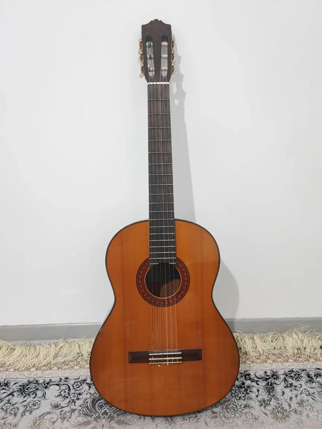 گیتار c70|گیتار، بیس، امپلیفایر|شیراز, شاپورجان|دیوار