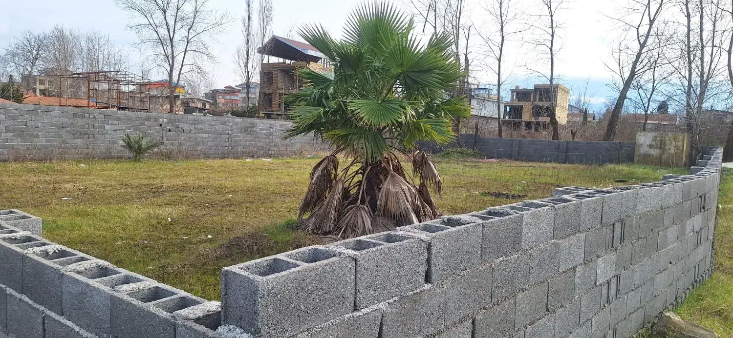 زمین مسکونی|فروش زمین و ملک کلنگی|زیباکنار, |دیوار