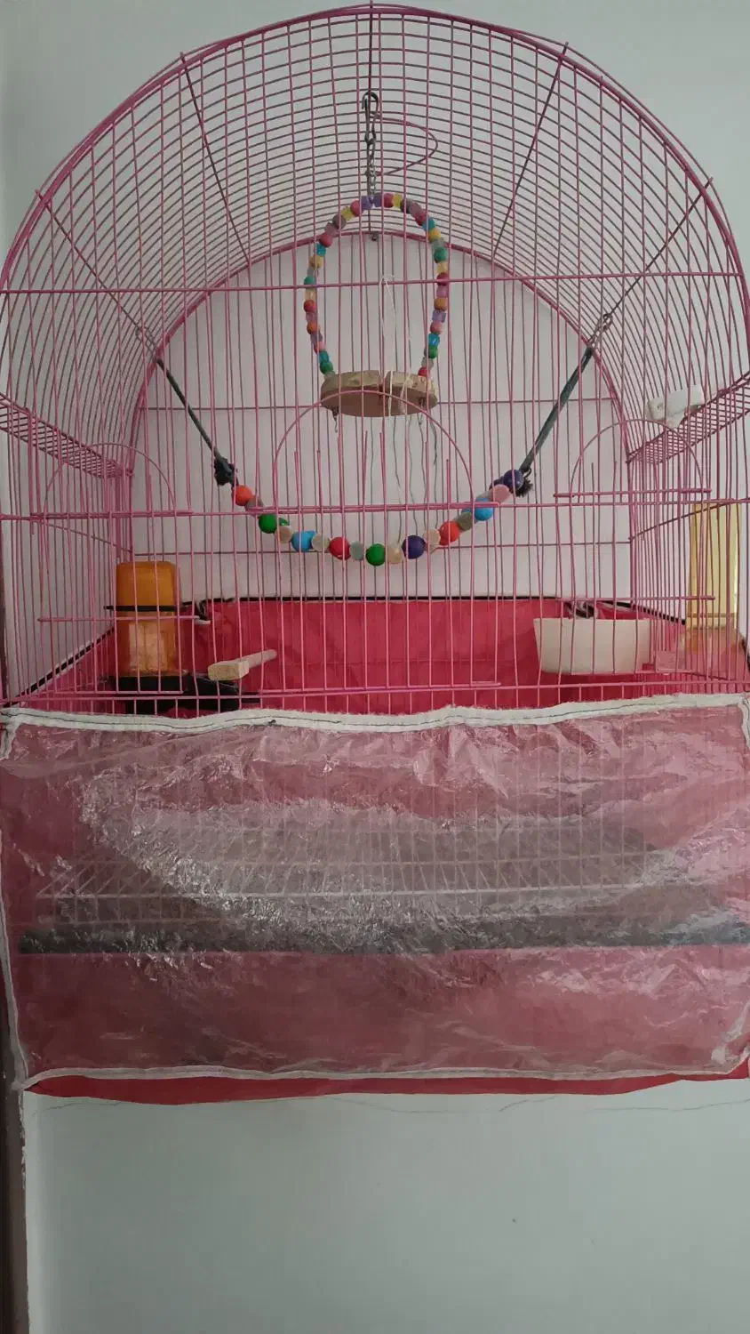 قفس بزرگ بفروش میرسد|لوازم جانبی حیوانات|باسمنج, |دیوار