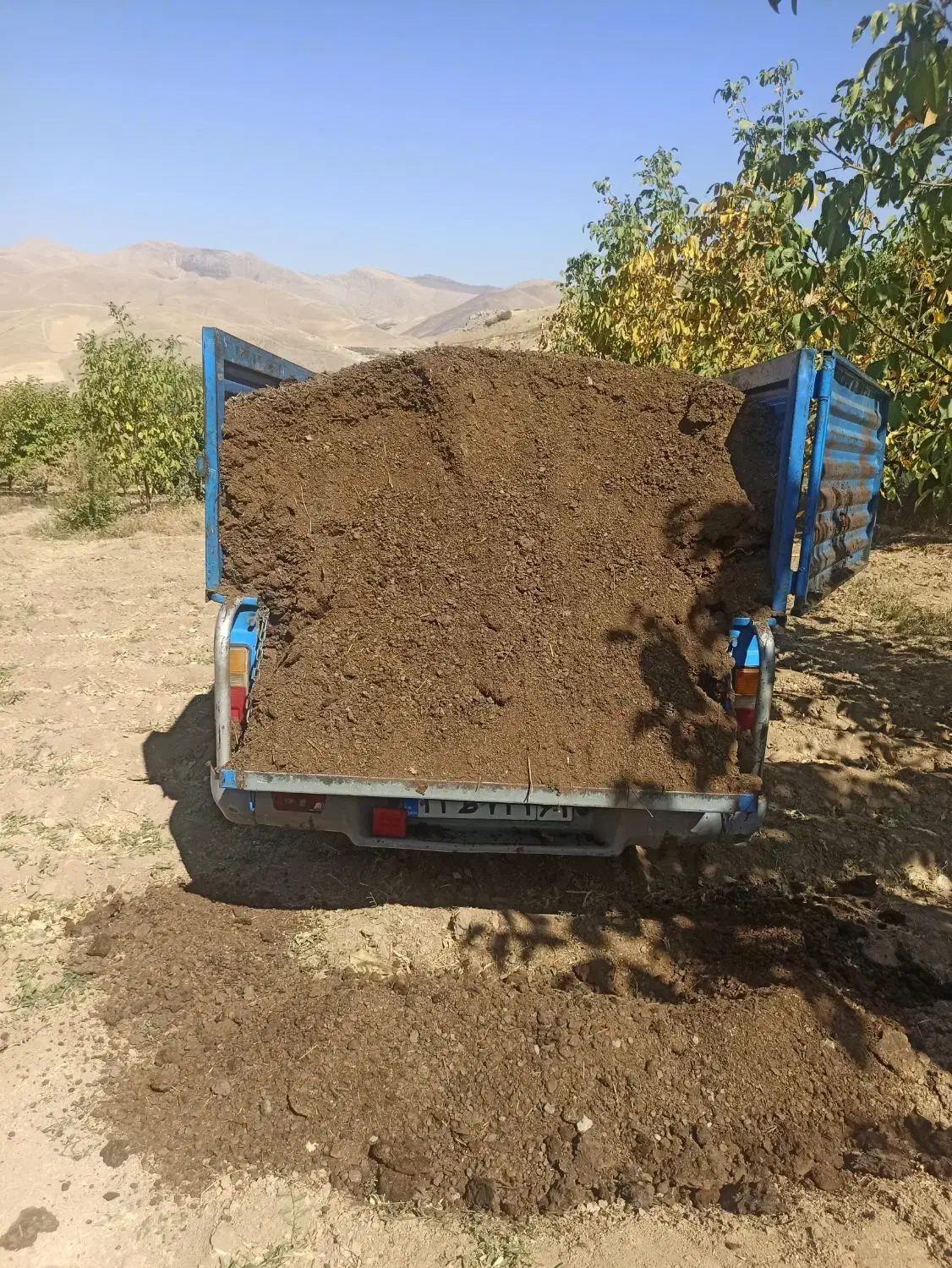 کود حیوانی مرغوب حمل با نیسان|خدمات باغبانی و درختکاری|سنندج, |دیوار