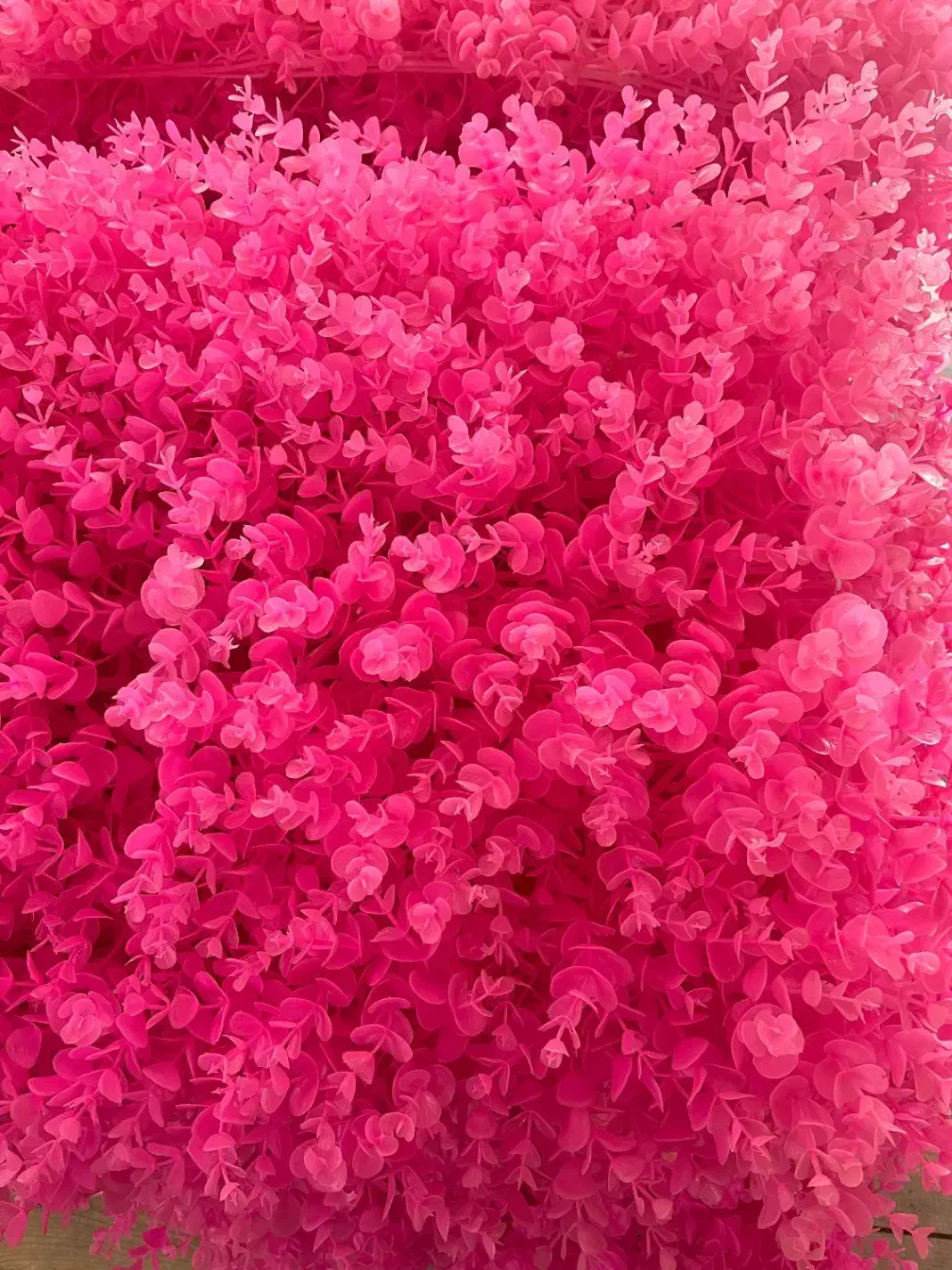 دیوار پوش(گرین وال)رنگ سرخابی|گل مصنوعی|لنگرود, |دیوار