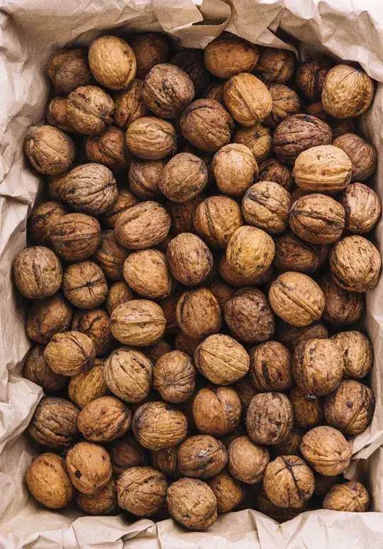 گردوتازه|عمده‌فروشی|آذرشهر, |دیوار