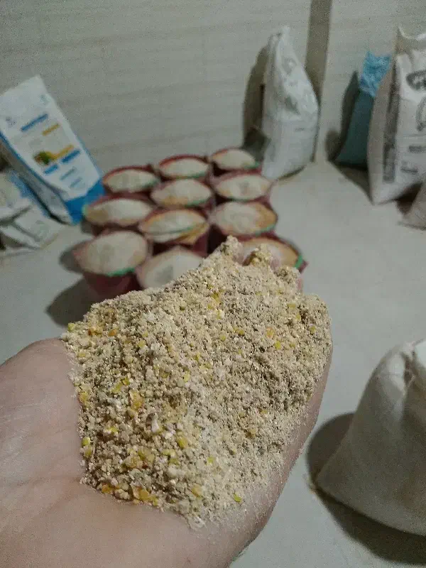 تولید دان با کیفیت گوشتی و تخمگذار انواع پرندگان|لوازم جانبی حیوانات|شاندرمن, |دیوار