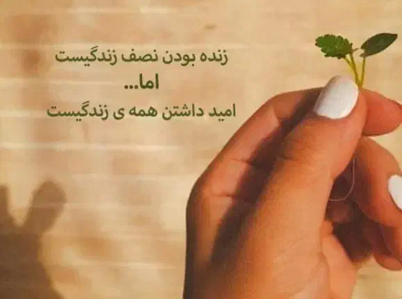 خوندن قران سوره و دعا با نیت شما با هزینه مدنظرتون|فعالیت داوطلبانه|کهریزک, |دیوار