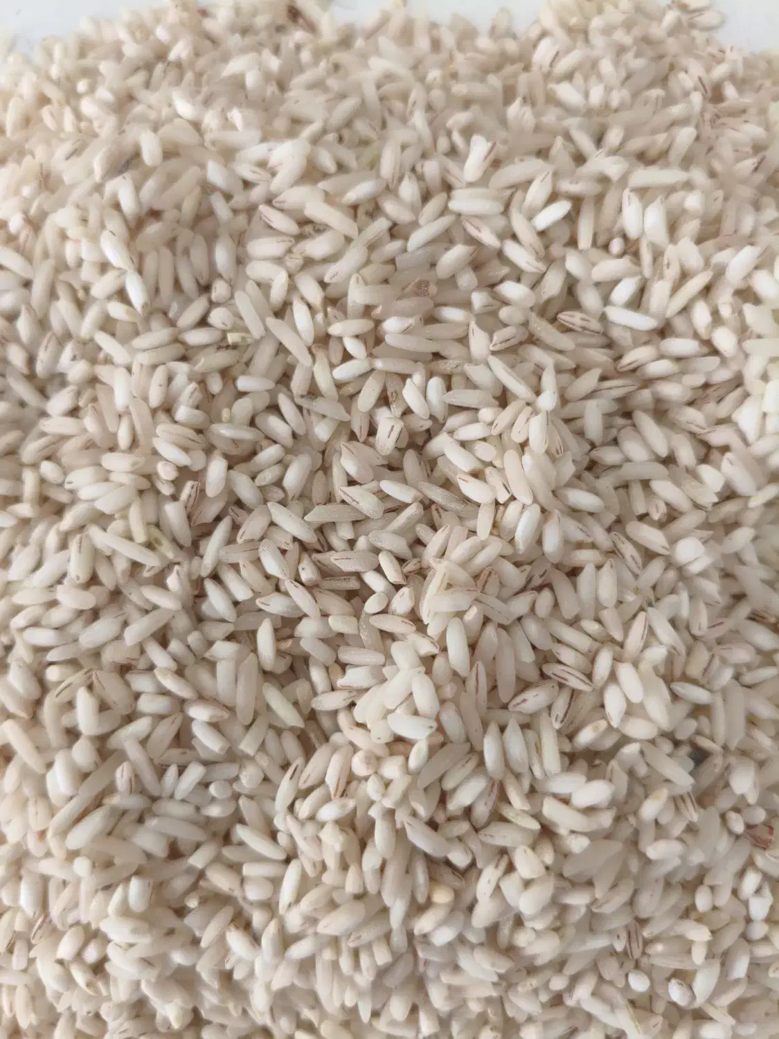 برنج قلوه|خوردنی و آشامیدنی|اصفهان, عاشق‌آباد|دیوار