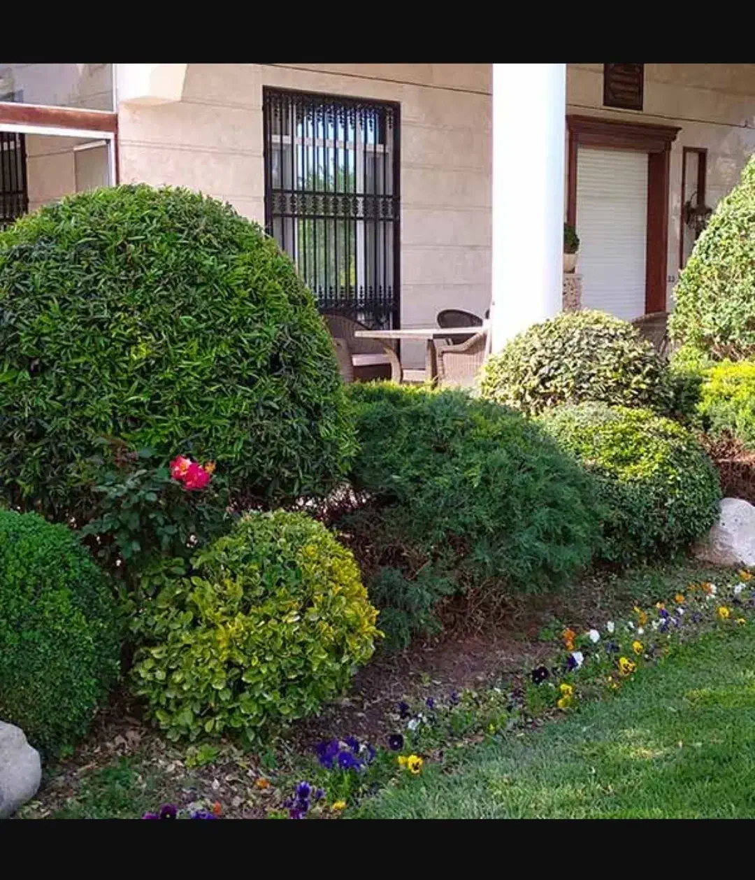 امورباغبانی و گل وگیاه|خدمات باغبانی و درختکاری|شیراز, پودنک|دیوار