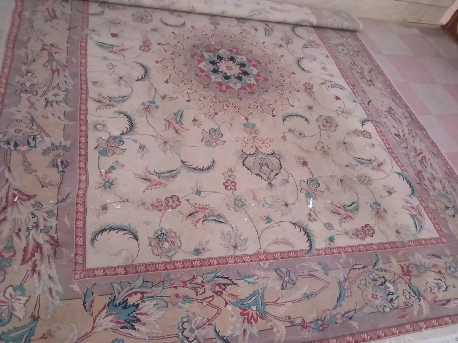 فروش فرش|فرش|کاشمر, |دیوار