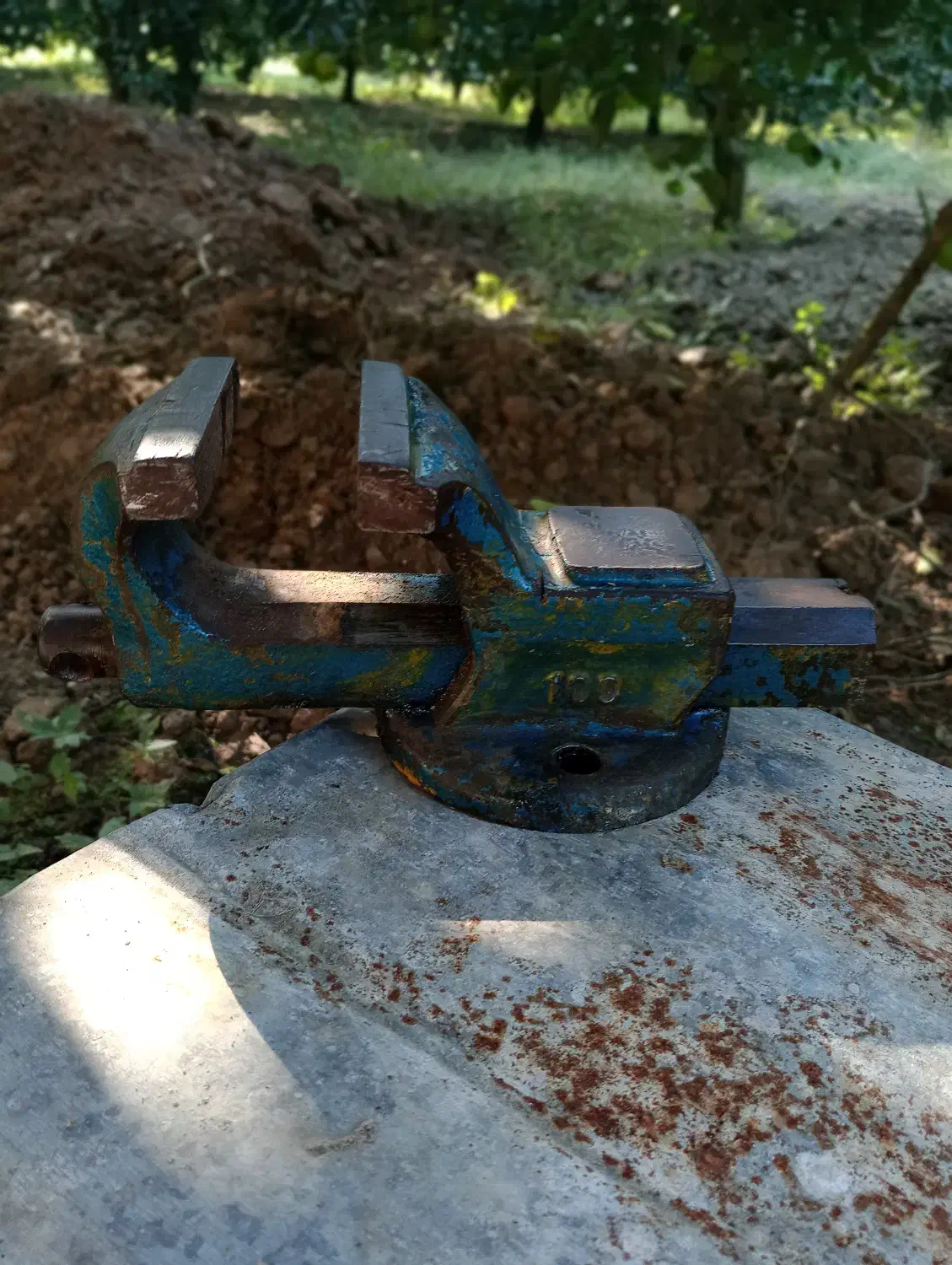 گیره|ابزارآلات|گلوگاه بابل (گلیا), |دیوار