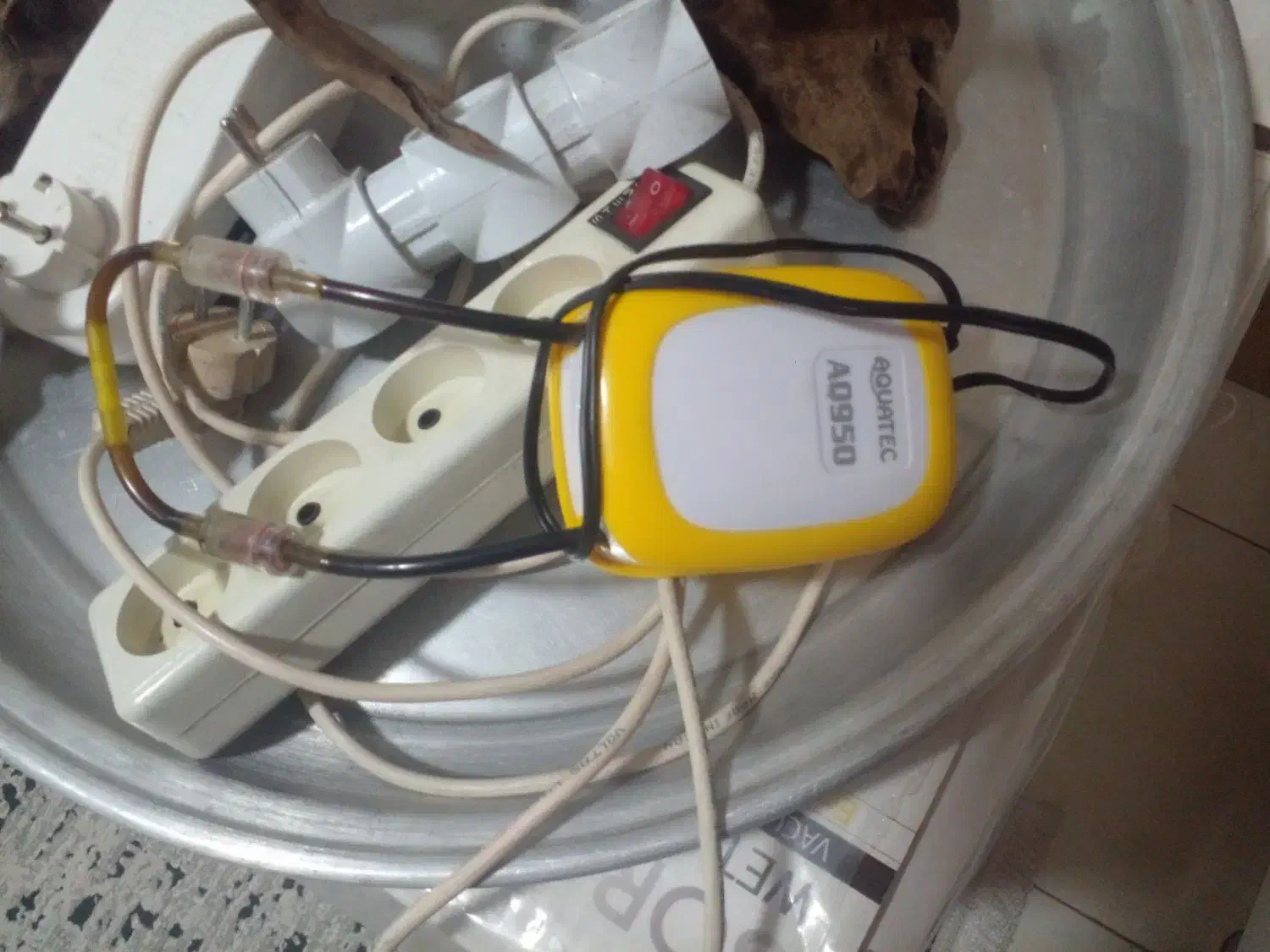 فیلتر سطلی آکواریوم و پمپ هوا|ماهی|محمدیه-قزوین, |دیوار