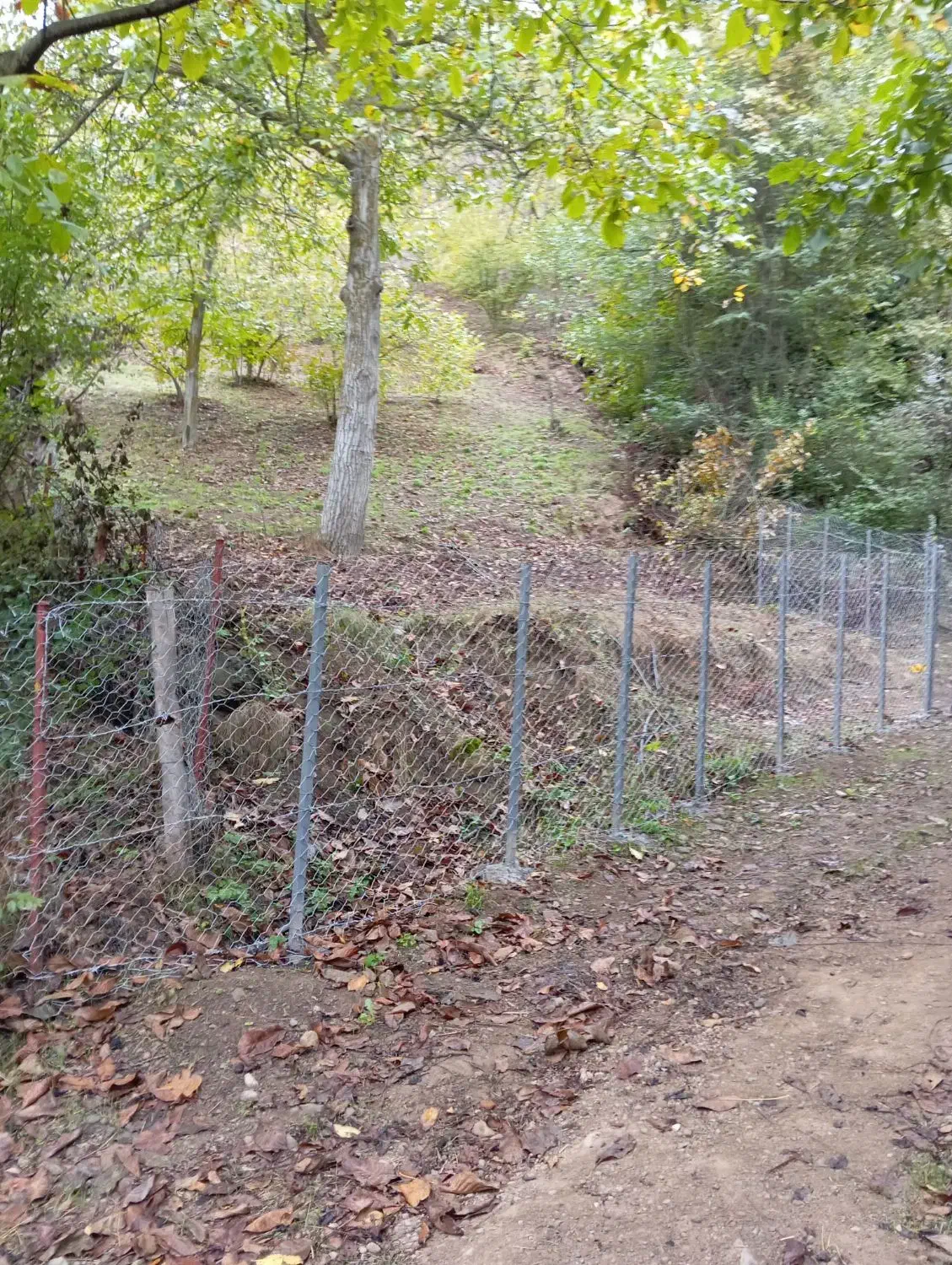 باغ فندق جای بکر|فروش زمین و ملک کلنگی|رحیمآباد, |دیوار