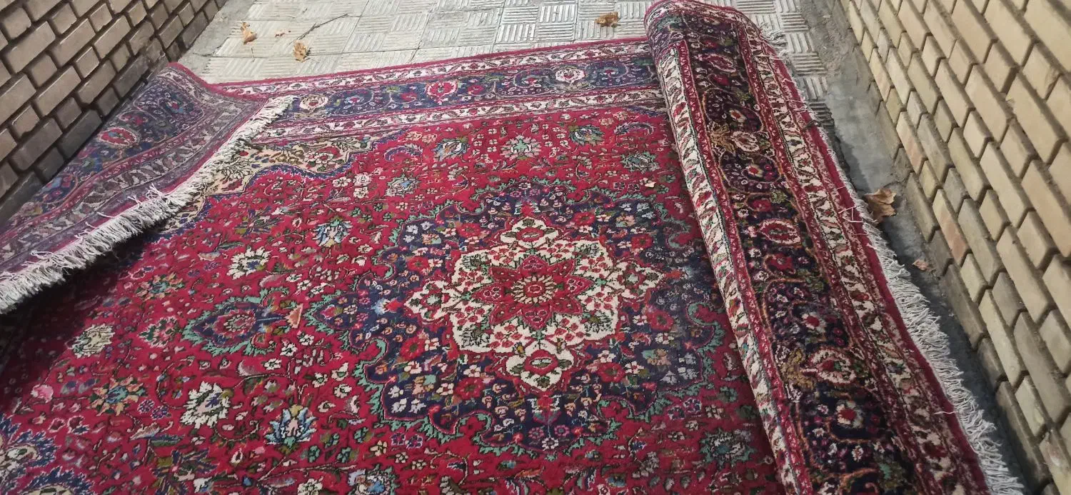 فرش دستبافت|فرش|سلماس, |دیوار