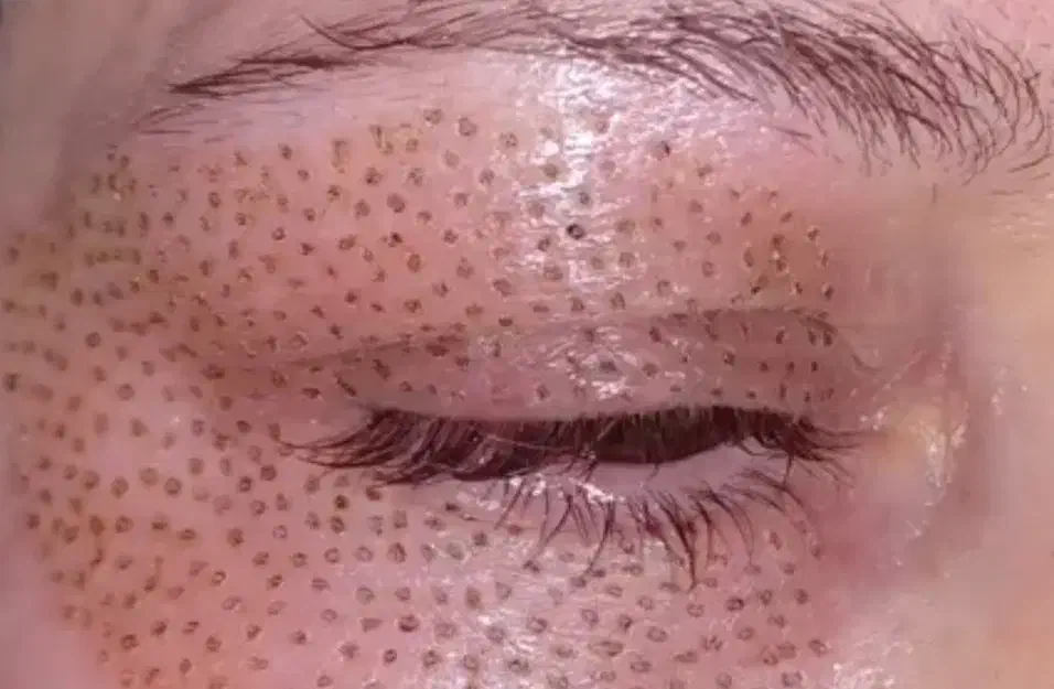 آف خدمات و آموزش آرایشی|خدمات آرایشگری و زیبایی|اهواز, سپیدار|دیوار