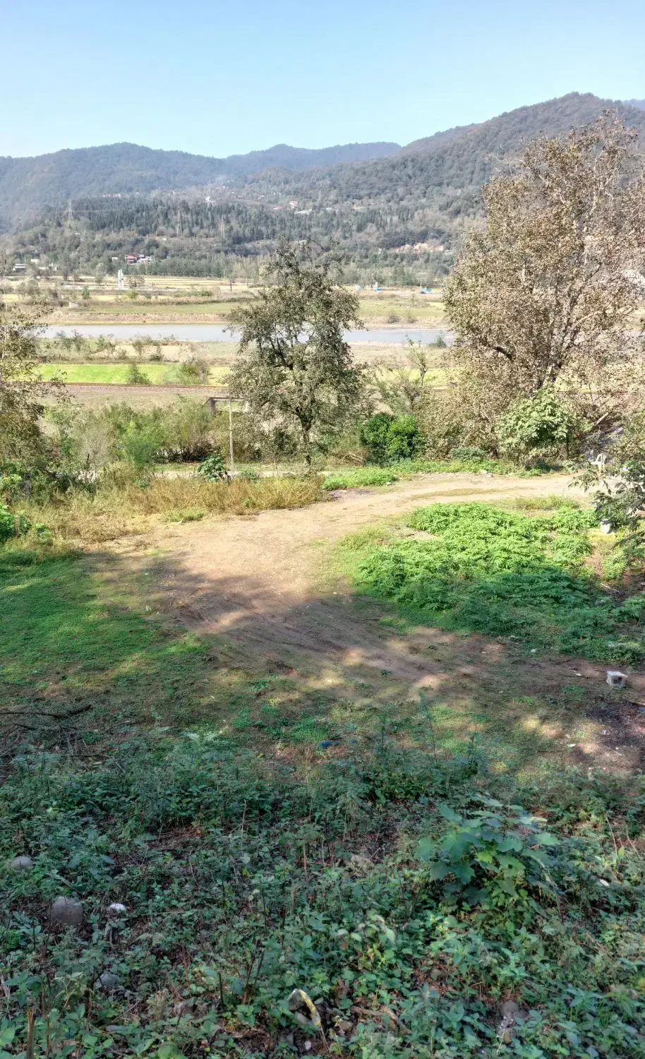 فروش زمین|فروش زمین و ملک کلنگی|توتکابن, |دیوار